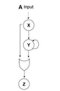 FFL pathway