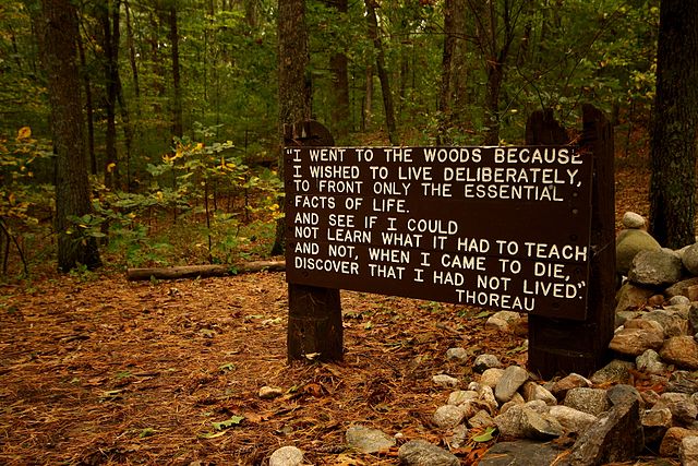 Thoreau quote